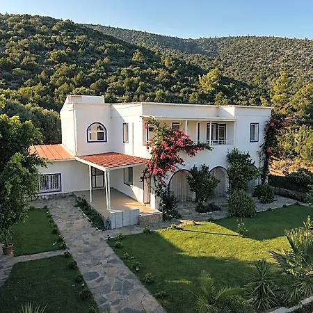 Yaliyani Restaurant Hotel Irmene